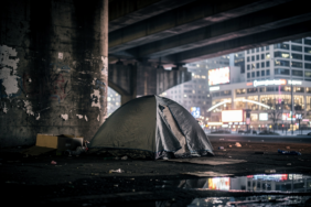 hf_20260303_104300_9fd9dce9-6039-459e-97f4-1ed5b6de80a9